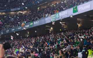 España: Lluvia de mascotas en el estadio del Real Betis