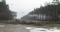 stadion_bate_borisov