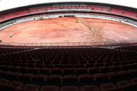 mineirao