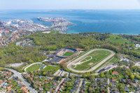 skovens_arena