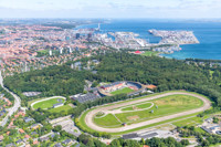 skovens_arena