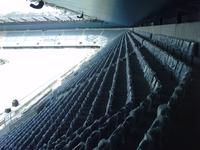 grand_stade_du_havre