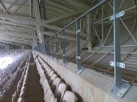 sammy_ofer_stadium