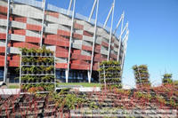 stadion_narodowy