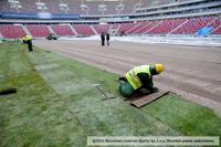 stadion_narodowy