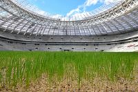 luzhniki