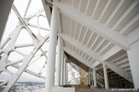 sochi_olympic_stadium