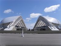 sochi_olympic_stadium