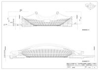 New National Stadium (IV)