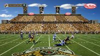 Tim Hortons Field