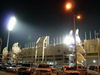 Ahmed bin Ali Stadium