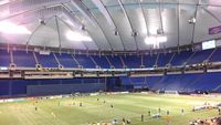 Metrodome