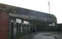 Vetch Field