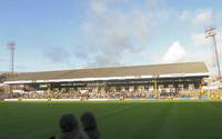 Vetch Field