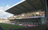 Vetch Field