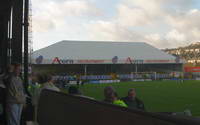 Vetch Field