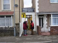 Vetch Field