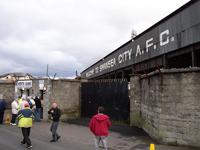 Vetch Field