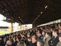 Vetch Field