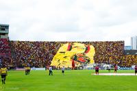 Estádio Adelmar da Costa Carvalho (Ilha do Retiro)