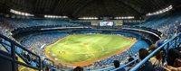 Rogers Centre (SkyDome)