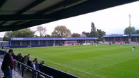 Ewen Fields