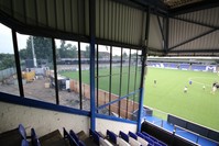 Leasing.com Stadium (Moss Rose)