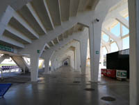 Stadio Artemio Franchi, Firenze