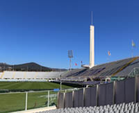 Stadio Artemio Franchi, Firenze