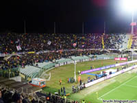 Stadio Artemio Franchi, Firenze