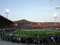 Stadio Artemio Franchi, Firenze