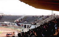 Stadio Armando Picchi