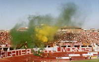 Stadio Armando Picchi