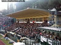 Stadio Artemio Franchi, Siena