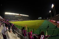 Yodoko Sakura Stadium (Nagai Ball Gall Field)