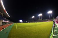 Yodoko Sakura Stadium (Nagai Ball Gall Field)