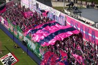 Yodoko Sakura Stadium (Nagai Ball Gall Field)