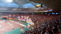 Denka Big Swan Stadium (Niigata Stadium)