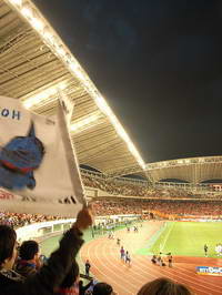 Denka Big Swan Stadium (Niigata Stadium)