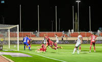 Prince Abdul Aziz bin Musa’ed Stadium