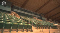 Prince Sultan bin Abdul Aziz Stadium