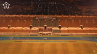 Prince Sultan bin Abdul Aziz Stadium