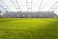 Forsyth Barr Stadium