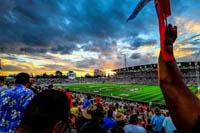 FMG Stadium Waikato