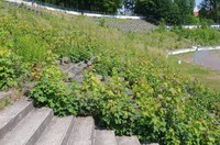 Stadion Miejski w Wałbrzychu (Stadion Nowe Miasto)