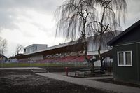 Stadion Miejski w Niepołomicach (Stadion Puszczy)