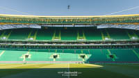 Estádio José Alvalade