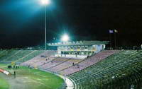 Stadionul Dan Păltinișanu