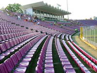 Stadionul Dan Păltinișanu