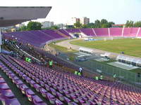 Stadionul Dan Păltinișanu